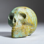 Genuine Polished Turquoise Skull Carving