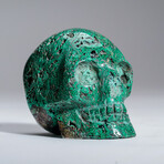Genuine Polished Chrysocolla Skull Carving