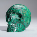 Genuine Polished Chrysocolla Skull Carving