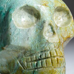 Genuine Polished Turquoise Skull Carving