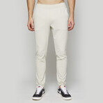 Equip Slim Pants // Stone ((S) Short)