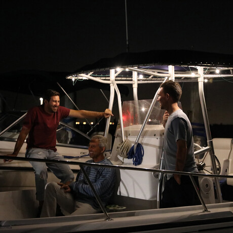 Luci Solar String Lights