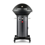 Fuego Professional 24” Gas Grill