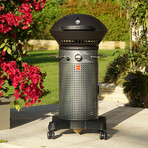 Fuego Element 21” Gas Grill