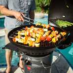 Fuego Professional 24” Gas Grill