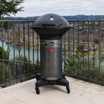 Fuego Professional 24” Gas Grill