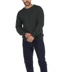 Crew Sweatshirt // Green (S)