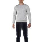 Crew Sweatshirt // Gray (S)