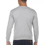 Crew Sweatshirt // Gray (S)