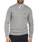 Jersey V // Gray (S)