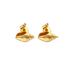 Real Sea Shell Stud Earrings In 14K Gold Plated On Sterling Silver