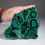 Genuine Natural Bulls Eye Malachite v.2