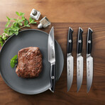 Steak Knife Set + Walnut Box // 4 Pieces