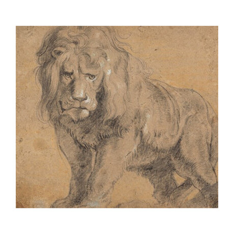 Lion c.1612 by Jean Paul Rubens (20"H x 20"W x 2"D)