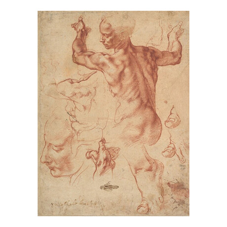 Studies for the Libyan Sibyl by Michelangelo (15"H x 18"W x 2"D)