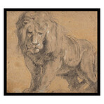 Lion c.1612 by Jean Paul Rubens (20"H x 20"W x 2"D)