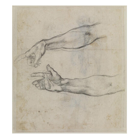 Studies of an Outstretched Arm for the Fresco ‘The Drunkenness of Noah’ in the Sistine Chapel circa 1508-1509 by Michelangelo (15"H x 18"W x 2"D)