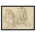 Two Seated Lion 1521 by Albrecht Durer (15"H x 18"W x 2"D)