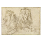 Two Seated Lion 1521 by Albrecht Durer (15"H x 18"W x 2"D)