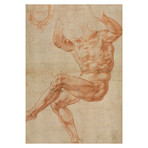 Study for the Nude Youth Over the Prophet Daniel Recto 1510-1511 by Michelangelo (15"H x 18"W x 2"D)