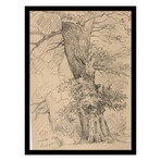 Tree Study 1846 by Jacques Raymond Brascassat (15"H x 18"W x 2"D)