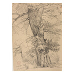 Tree Study 1846 by Jacques Raymond Brascassat (15"H x 18"W x 2"D)