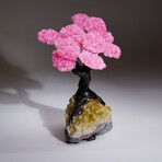 Genuine Rose Quartz Clustered Gemstone Tree on Citrine Matrix // The Comfort Tree // 3.7lb