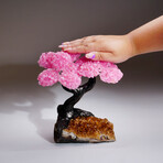 Custom Genuine Rose Quartz Clustered Gemstone Tree on Citrine Matrix // The Comfort Tree // 3.15lb