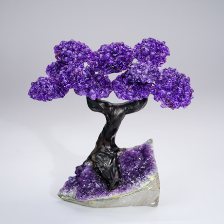 Amethyst Clustered Gemstone Tree + Amethyst Matrix // The Protection Tree // 2.8lb