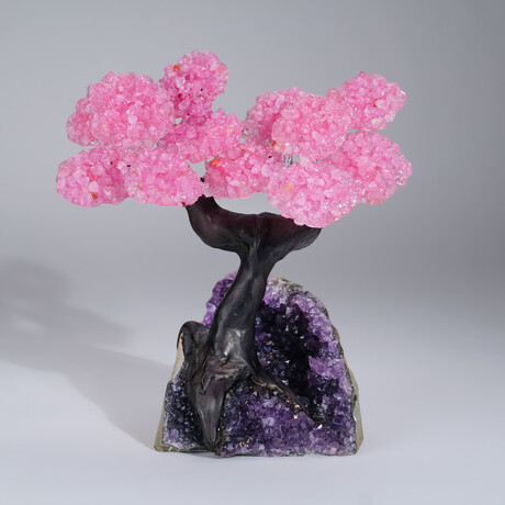 Genuine Rose Quartz Clustered Gemstone Tree on Amethyst matrix // The Love Tree // 3.8lb