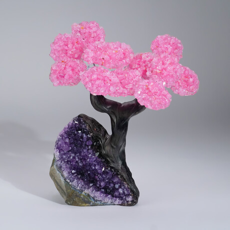 Genuine Rose Quartz Clustered Gemstone Tree on Amethyst matrix // The Love Tree // 3.4lb