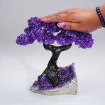 Amethyst Clustered Gemstone Tree + Amethyst Matrix // The Protection Tree // 2.8lb