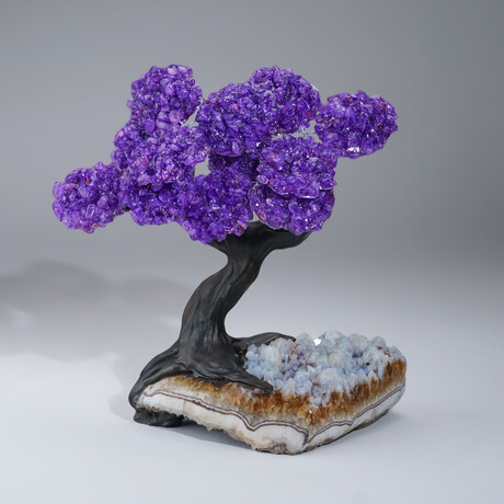 Genuine Amethyst Clustered Gemstone Tree on Snow Quartz & Citrine Matrix
