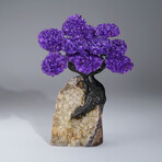 Genuine Amethyst Clustered Gemstone Tree on Citrine Matrix // The Empowerment Tree // 4.2lb