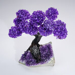 Amethyst Clustered Gemstone Tree + Amethyst Matrix // The Protection Tree // 2.8lb