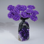 Amethyst Clustered Gemstone Tree on Amethyst Matrix // The Protection Tree // 2.6lb