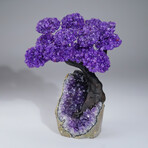 Genuine Amethyst Clustered Gemstone Tree on Amethyst Matrix // The Protection Tree // 3.1lb