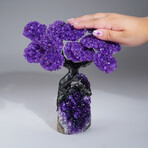 Amethyst Clustered Gemstone Tree on Amethyst Matrix // The Protection Tree // 2.6lb