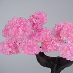 Genuine Rose Quartz Clustered Gemstone Tree on Amethyst matrix // The Love Tree // 3.8lb
