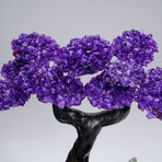 Amethyst Clustered Gemstone Tree + Amethyst Matrix // The Protection Tree // 2.8lb