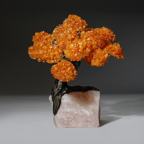 Large Genuine Citrine Clustered Gemstone Tree on Rose Quartz Matrix // The Tree of Prosperity