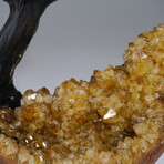 Genuine Amethyst Clustered Gemstone Tree on Citrine Matrix // The Empowerment Tree // 2.7lb