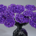 Amethyst Clustered Gemstone Tree on Amethyst Matrix // The Protection Tree // 2.6lb