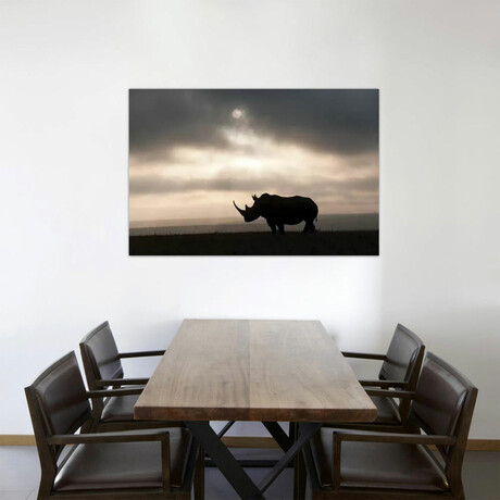 White Rhinoceros At Sunset, Solio Game Reserve, Kenya by Tui De Roy (12"H x 18"W x 1.5"D)