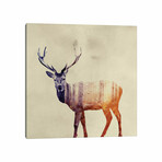 Deer I by Andreas Lie (12"H x 12"W x 1.5"D)