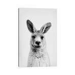 Mr. Kangaroo by Sisi & Seb (18"H x 12"W x 1.5"D)