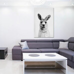 Mr. Kangaroo by Sisi & Seb (18"H x 12"W x 1.5"D)