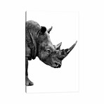 Rhino White Edition IV by Philippe Hugonnard (18"H x 12"W x 1.5"D)