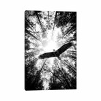 Master Of Heaven Bold Eagle B&W by Nik Rave (18"H x 12"W x 1.5"D)