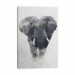 Elephant by Andreas Lie (18"H x 12"W x 1.5"D)